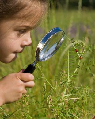 Smarter Toddler Nursery & Preschool, Best nyc, childcare, daycare, day care, child care